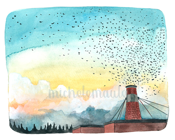 8x10 Print - Chapman Swifts at Dusk