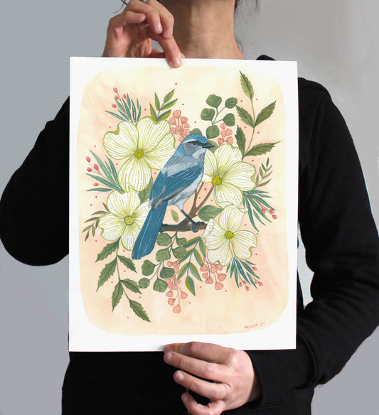 11x14 Print - Spring Scrub Jay