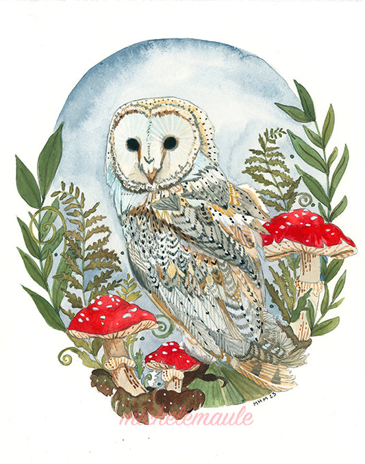 8x10" Barn Owl Print